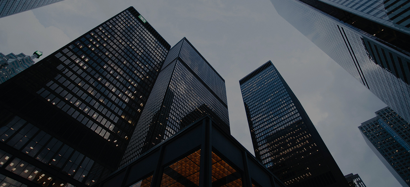 面向政府和金融行業用戶提供整體信息化解決方案和集成服務