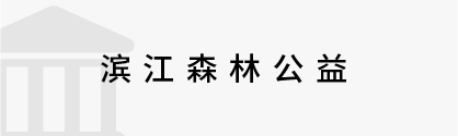 數字政務&政法