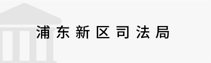 數字政務&政法
