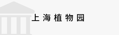 數字政務&政法